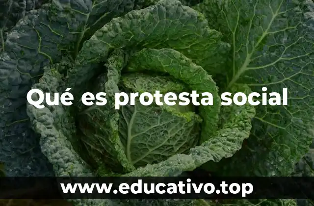 Qué es protesta social