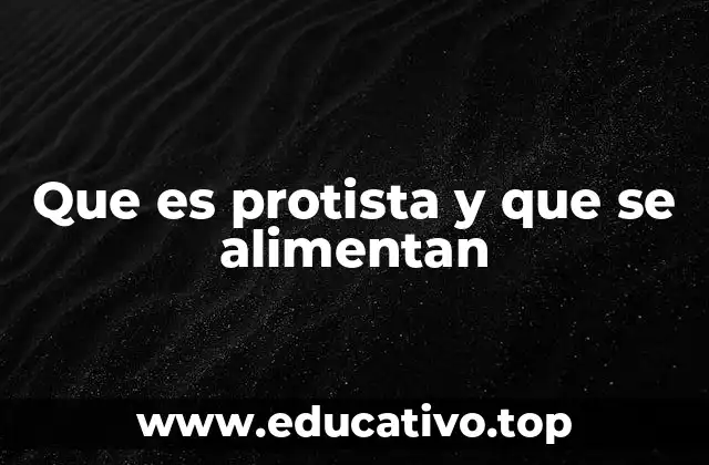 Que es protista y que se alimentan