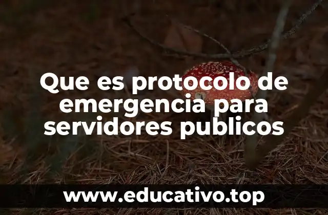 Que es protocolo de emergencia para servidores publicos
