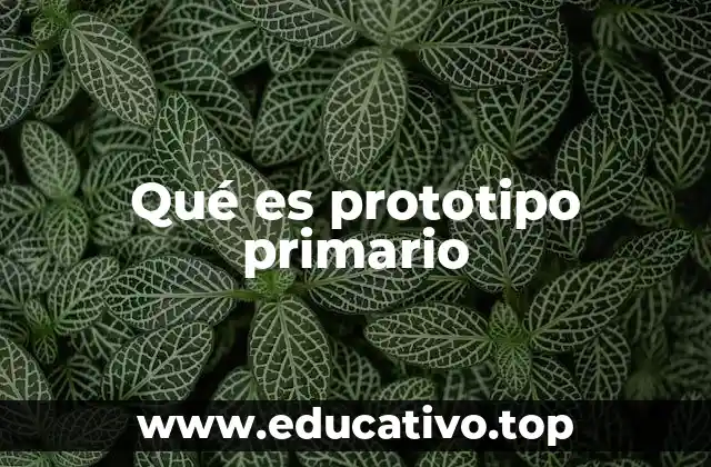 Qué es prototipo primario