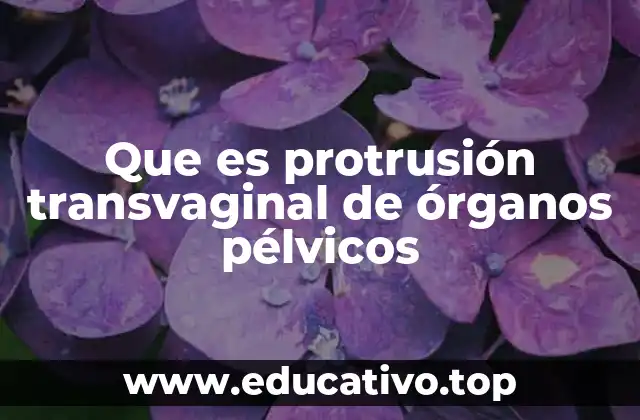 Que es protrusión transvaginal de órganos pélvicos