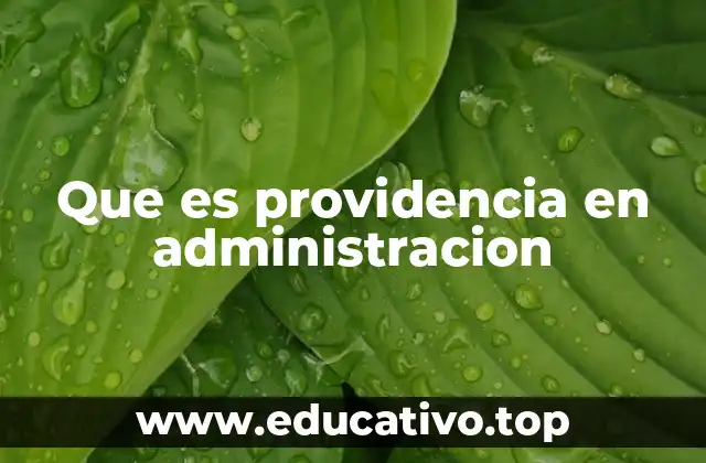 Que es providencia en administracion