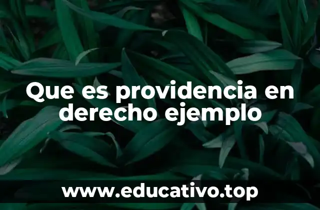 Que es providencia en derecho ejemplo
