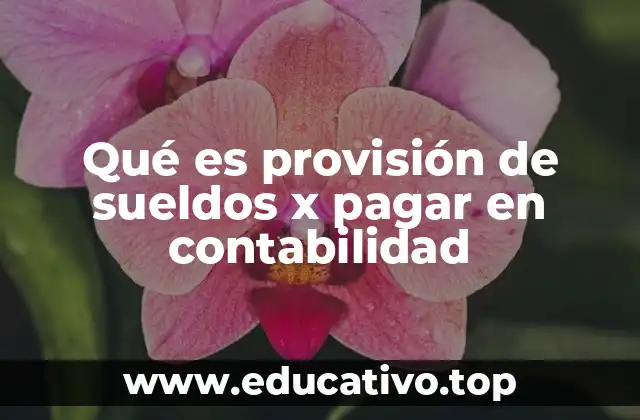 Qué es provisión de sueldos x pagar en contabilidad