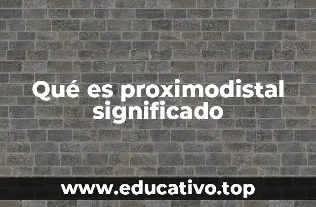 La importancia del patrón proximodistal en el desarrollo infantil