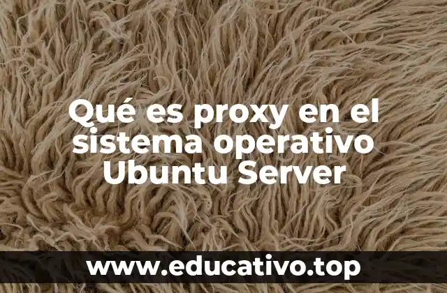 Qué es proxy en el sistema operativo Ubuntu Server