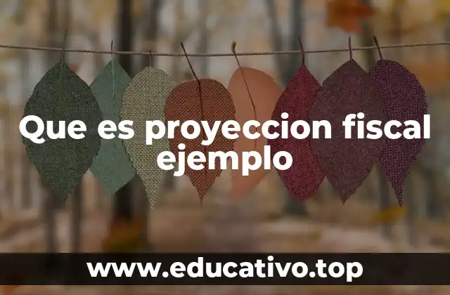 Que es proyeccion fiscal ejemplo