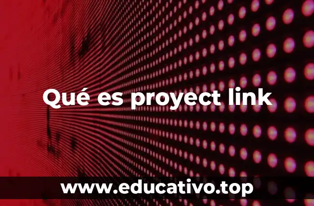 Qué es proyect link