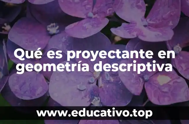 Qué es proyectante en geometría descriptiva