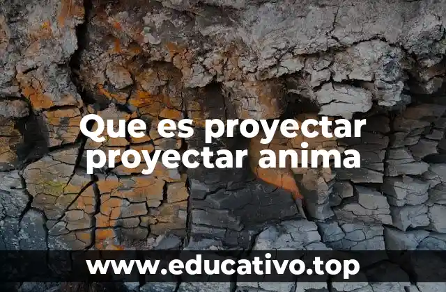 Que es proyectar proyectar anima