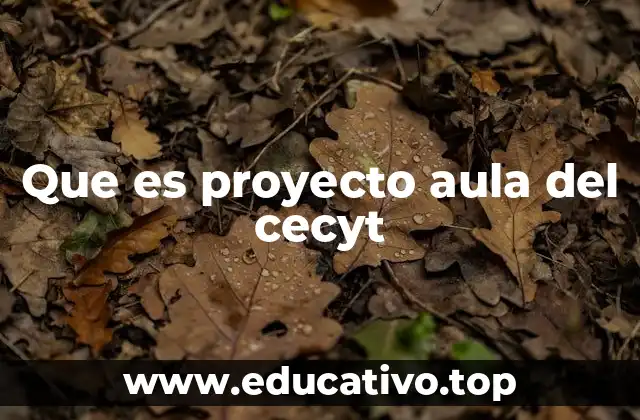 Que es proyecto aula del cecyt