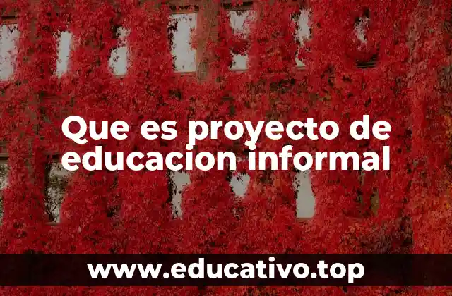Que es proyecto de educacion informal