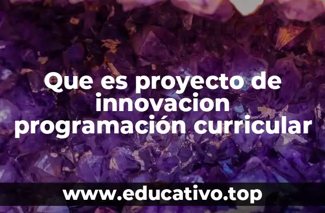 Que es proyecto de innovacion programación curricular