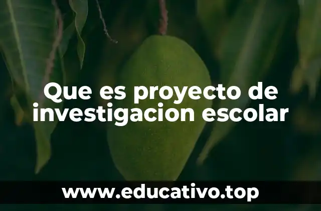 Que es proyecto de investigacion escolar