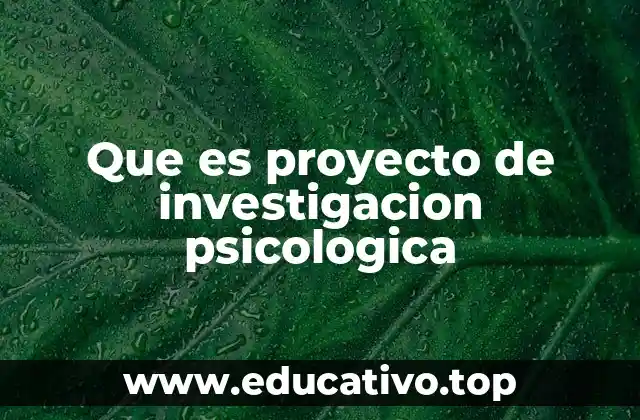 Que es proyecto de investigacion psicologica