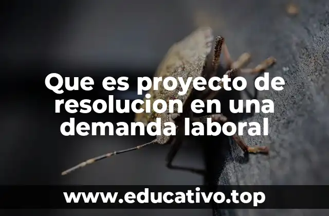 Que es proyecto de resolucion en una demanda laboral