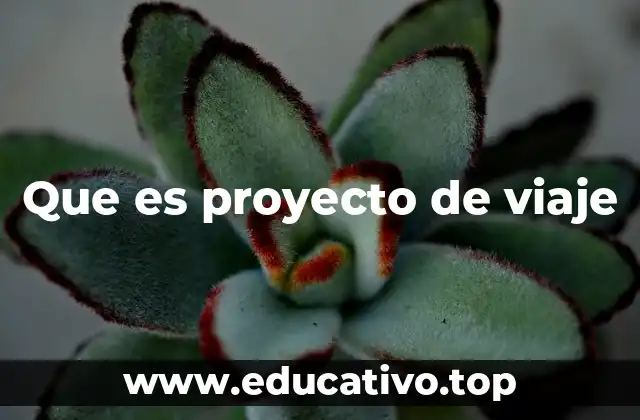 Que es proyecto de viaje