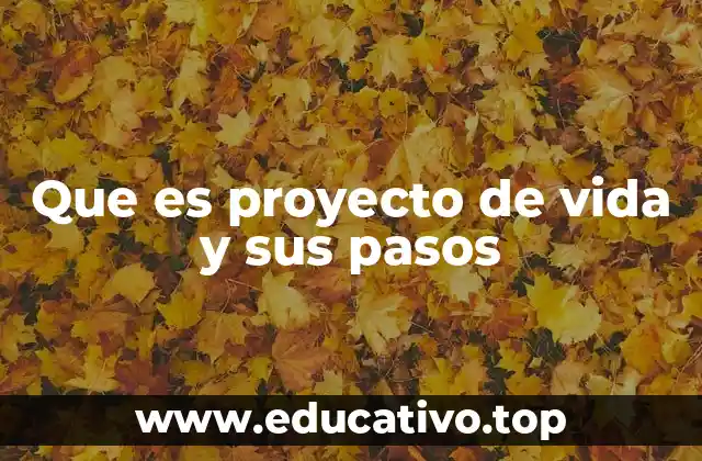 Que es proyecto de vida y sus pasos