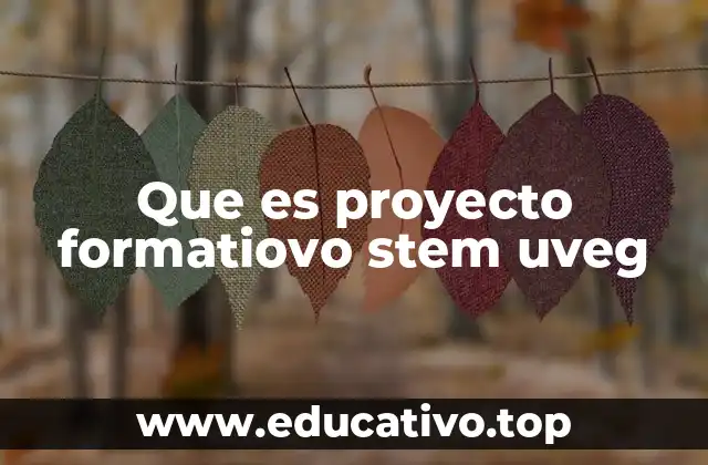 Que es proyecto formatiovo stem uveg