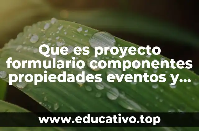 Que es proyecto formulario componentes propiedades eventos y metodos