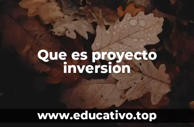 Que es proyecto inversion