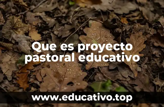 Que es proyecto pastoral educativo