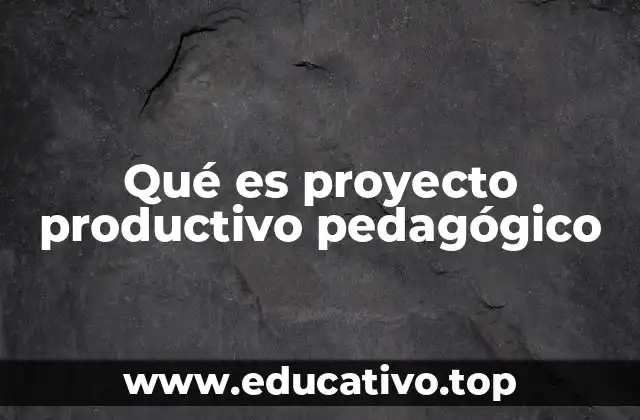 Qué es proyecto productivo pedagógico
