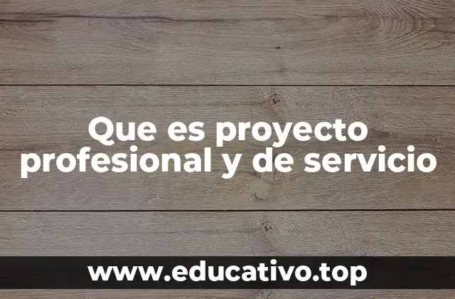 Que es proyecto profesional y de servicio