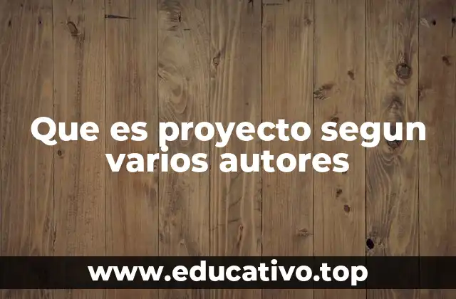 Que es proyecto segun varios autores