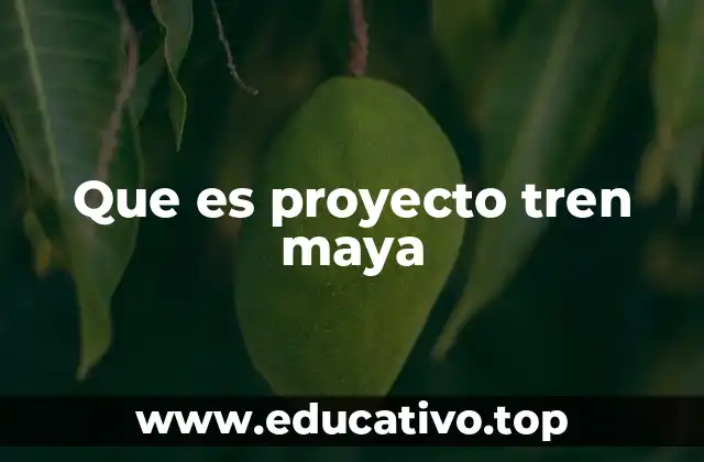 Que es proyecto tren maya