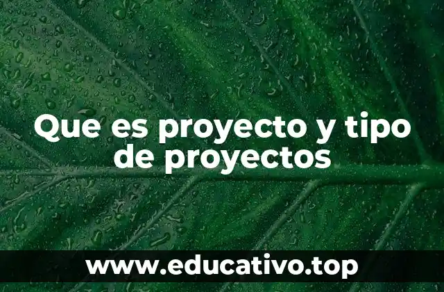 Que es proyecto y tipo de proyectos