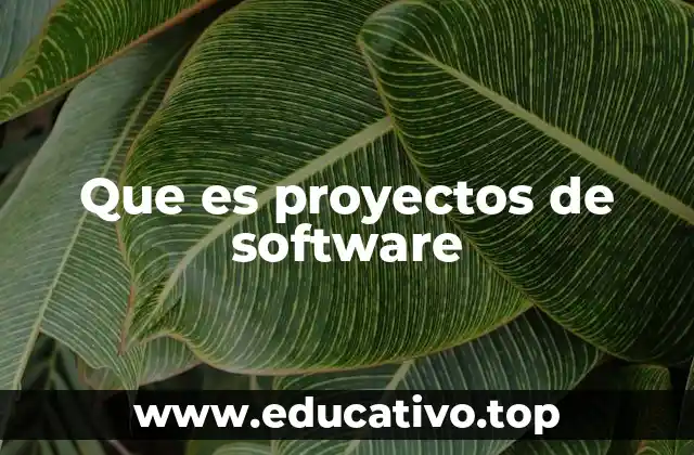 Que es proyectos de software