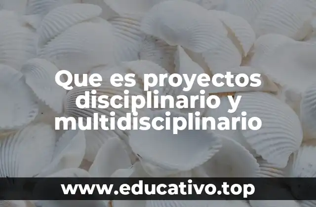 Que es proyectos disciplinario y multidisciplinario