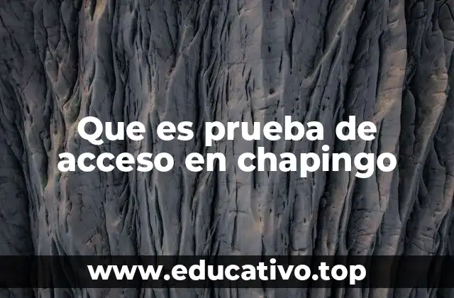 Que es prueba de acceso en chapingo