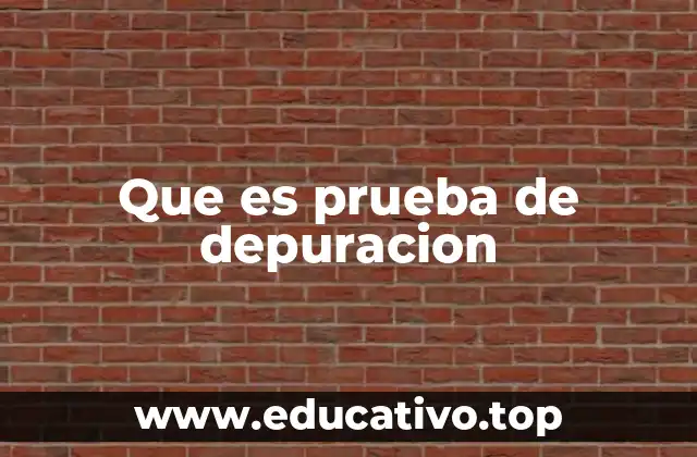 Que es prueba de depuracion