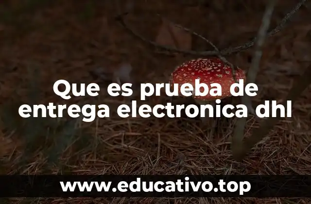 Que es prueba de entrega electronica dhl