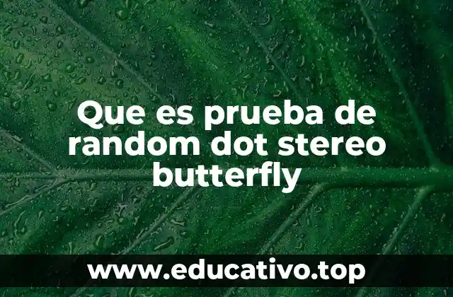 Que es prueba de random dot stereo butterfly