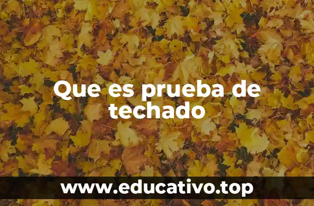Que es prueba de techado