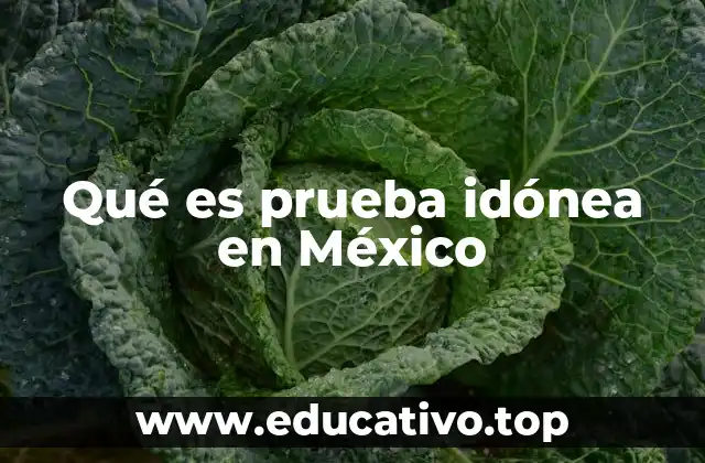 Qué es prueba idónea en México