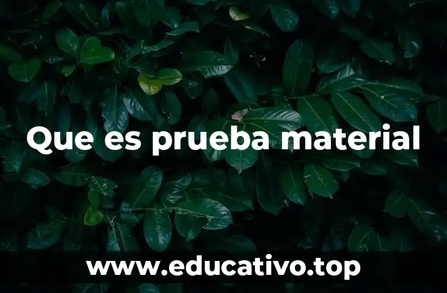 Que es prueba material