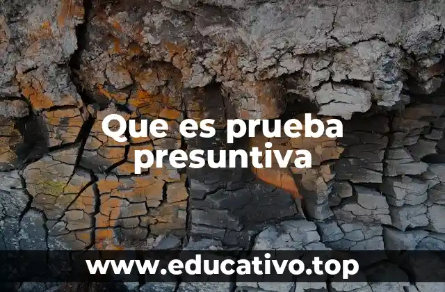 Que es prueba presuntiva