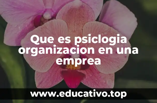 Que es psiclogia organizacion en una emprea