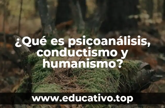 ¿Qué es psicoanálisis, conductismo y humanismo?