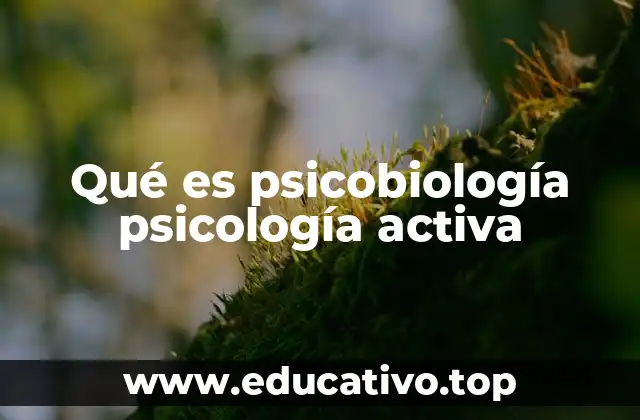 La interacción entre mente y cuerpo en el desarrollo psíquico