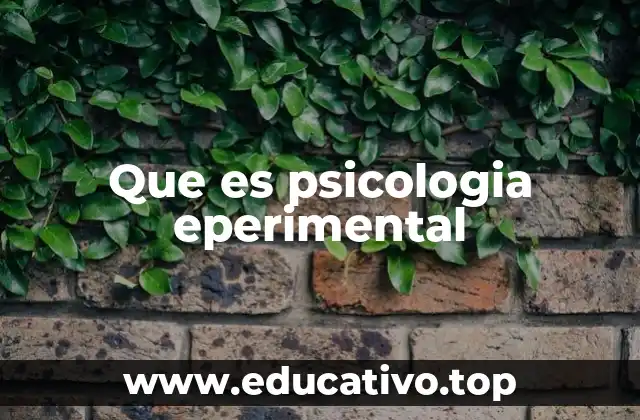 Que es psicologia eperimental