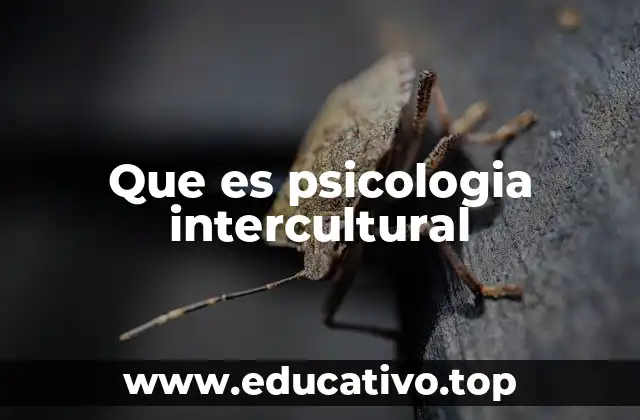 Que es psicologia intercultural