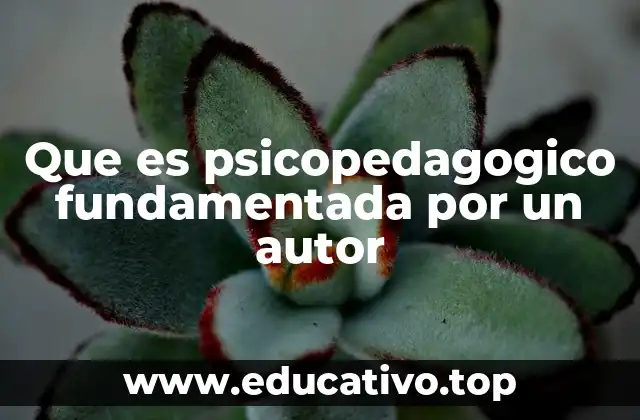 Que es psicopedagogico fundamentada por un autor