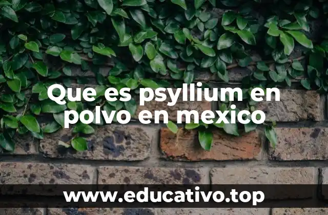 Que es psyllium en polvo en mexico