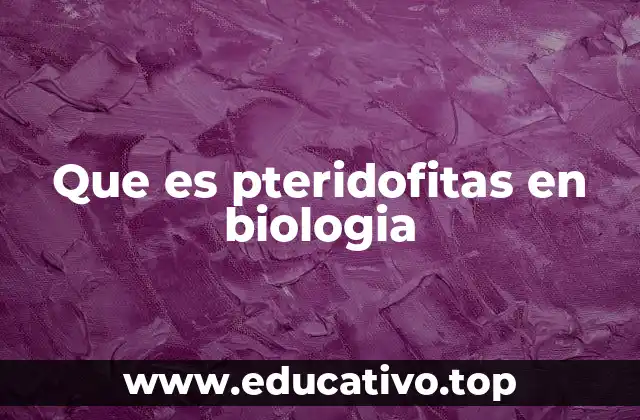 Que es pteridofitas en biologia