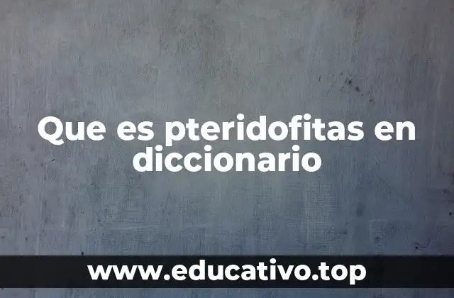 Características únicas de las pteridofitas